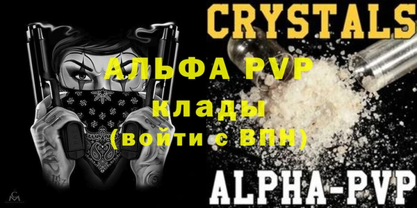 ПСИЛОЦИБИНОВЫЕ ГРИБЫ Покровск